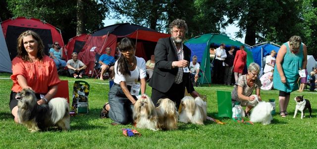 Shih Tzu Danmark Grenaa
