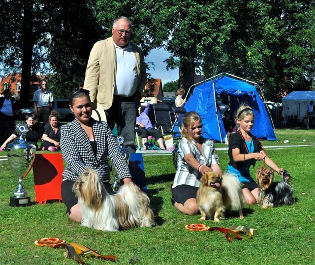 Shih Tzu Danmark Grenaa