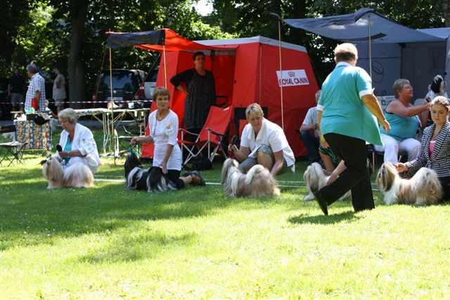 gerna2010