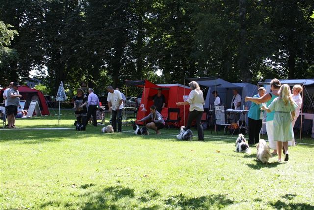 grena2010
